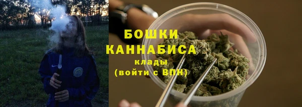шишки Армянск