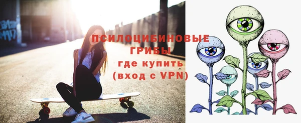 шишки Армянск