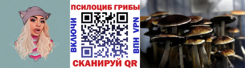 Псилоцибиновые грибы Psilocybine cubensis  где найти   Феодосия 